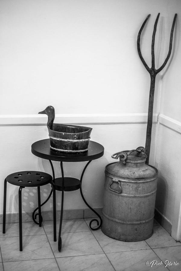 Chambres d'hôtes Le Pessac Vielmur-sur-Agout Extérieur photo